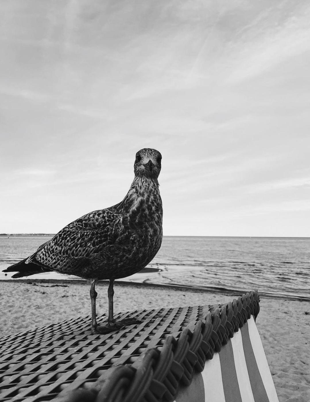Kiel, Renovierte Innenstadtwohnung, 24H Check-In, 2 Kostenlose Fahrraeder Exteriér fotografie